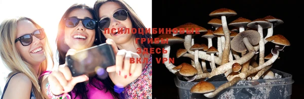 ешки Армянск