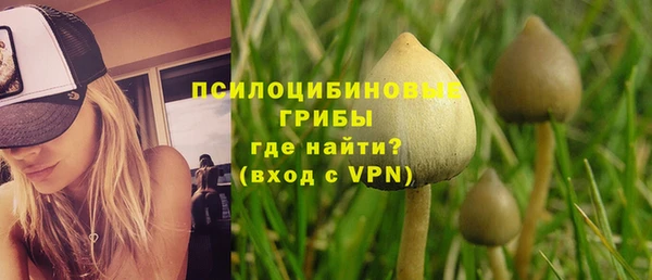 ешки Армянск