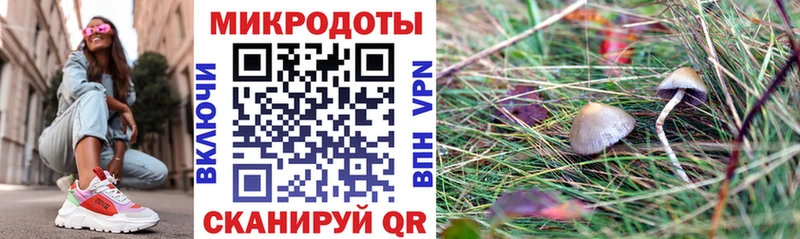 Галлюциногенные грибы мухоморы  купить  цена  Таруса 